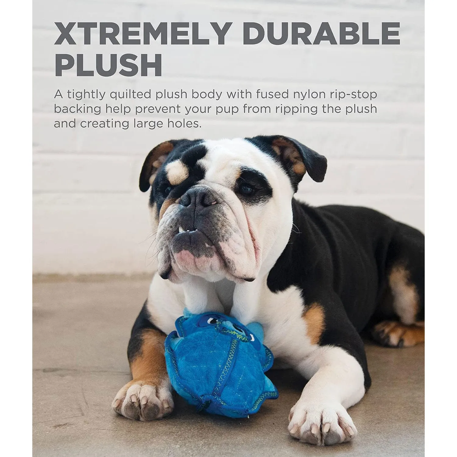 Outward Hound XTreme Seamz