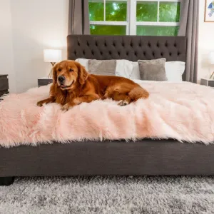 Paw Brands, PupProtector™ Waterproof Throw Blanket, Blush Pink