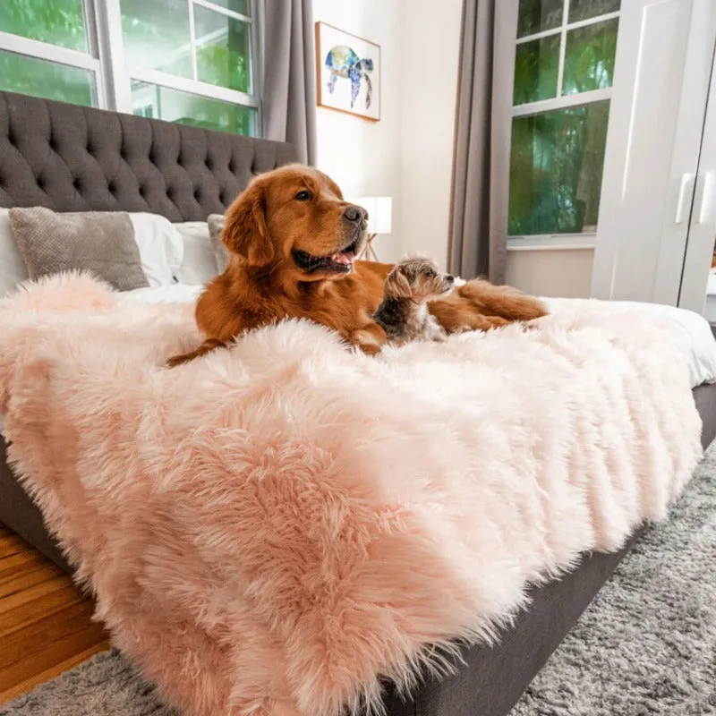 Paw Brands, PupProtector™ Waterproof Throw Blanket, Blush Pink