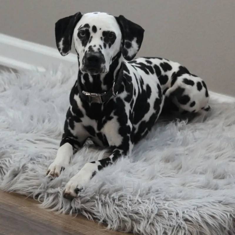 Paw Brands, PupRug™ Faux Fur Orthopedic Dog Bed - Rectangle Grey