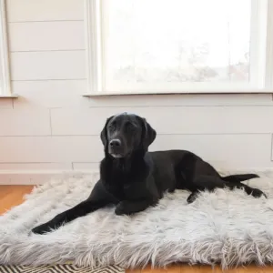 Paw Brands, PupRug™ Faux Fur Orthopedic Dog Bed - Rectangle Grey