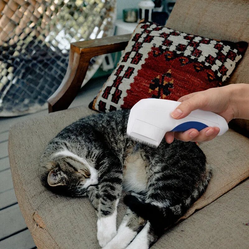 Pet Electric Flea Comb