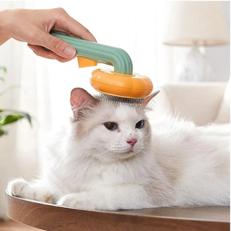 Pumpkin Modelling Pet Brush Rb-7