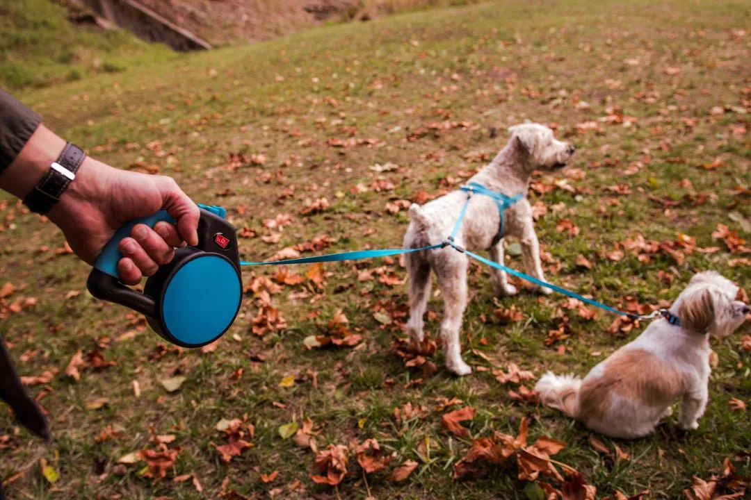 Wigzi Retractable Gel Leashes